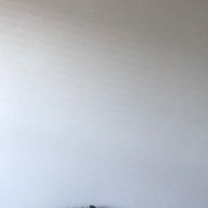 Meet your Posher, Keira